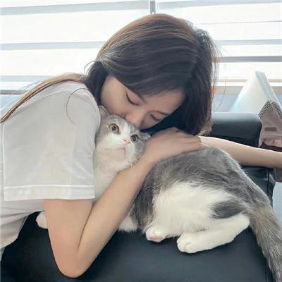 房子的故事